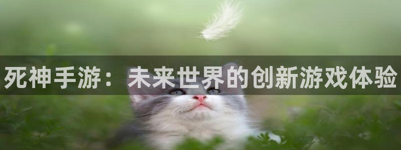 28大神开奖下载