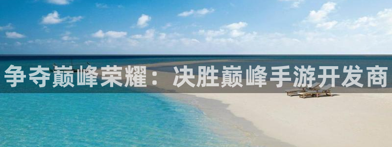 最新28大神预：争夺巅峰荣耀：决胜巅峰手游开发商