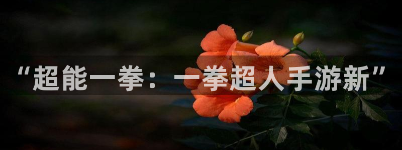 28大神怎么用不了