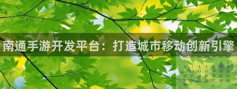 28大神怎么下载地址