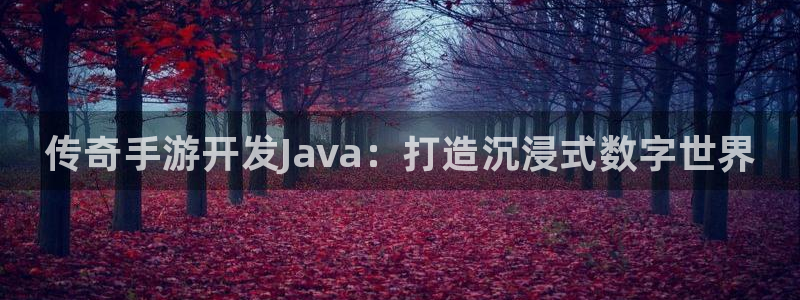 大神pc28在线预测网页：传奇手游开发Java：打造沉浸式数