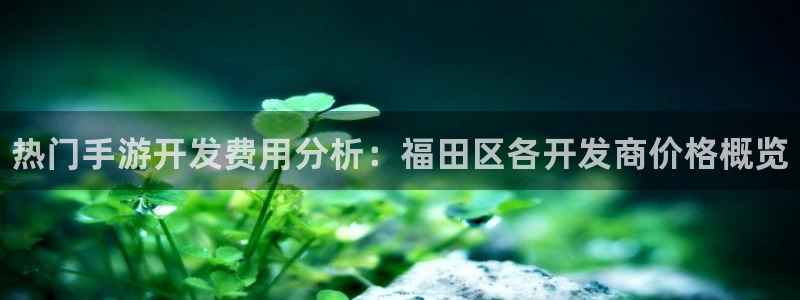 28大神在线开奖：热门手游开发费用分析：福田区各开发商价格概