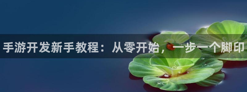 大神加拿大pc28：手游开发新手教程：从零开始，一步一个脚印