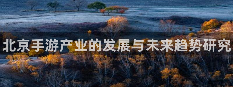 28大神新版：北京手游产业的发展与未来趋势研究