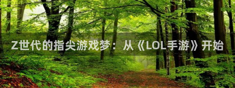 pc28大神下载安卓