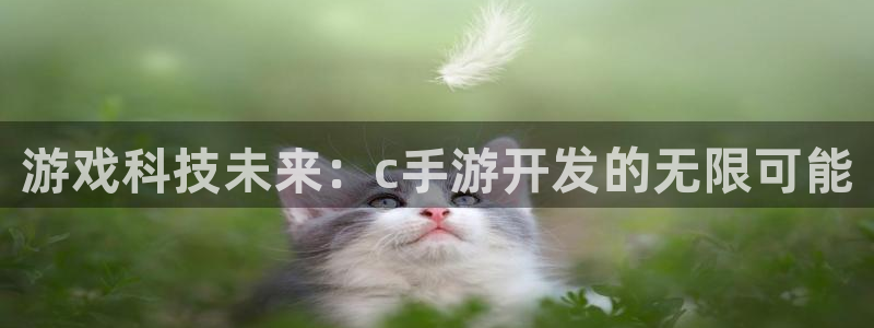 豪门国际官方网站：游戏科技未来：c手游开发的无限可能