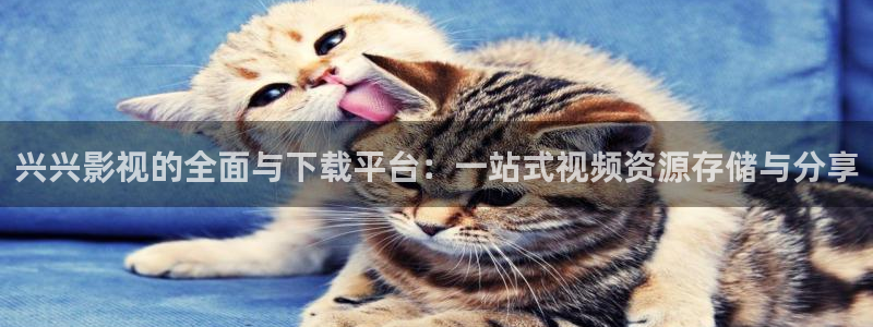 一区二区三区不卡毛片：兴兴影视的全面与下载平台：一站式视频资源存储与分享