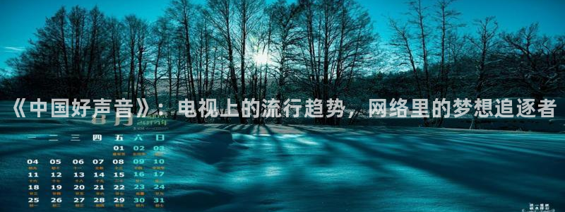 不卡无马在线v片：《中国好声音》：电视上的流行趋势，网络里的梦想追逐者