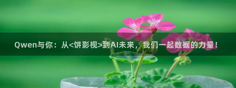 欧美高清不卡：Qwen与你：从<饼影视>到AI未来，我们一起数据的力量！