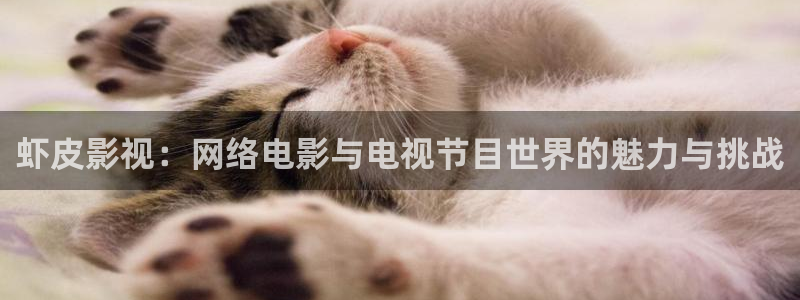 神马不卡的电影院：虾皮影视：网络电影与电视节目世界的魅力与挑战