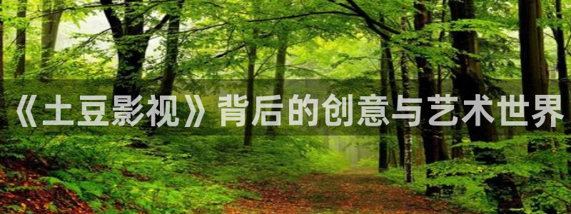不卡影院app：《土豆影视》背后的创意与艺术世界